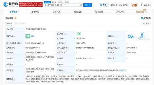 阿里巴巴同日成立两家新数据科技公司，深化数据服务战略布局